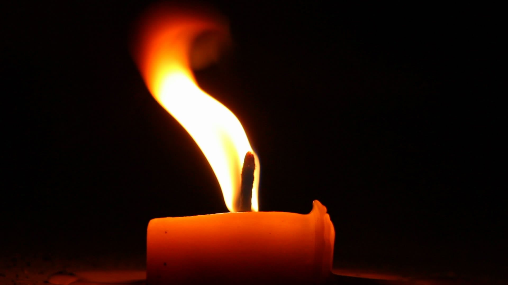 My candle-flicker has long hairs that prick & heal U.A Edwardson