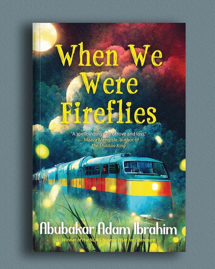 Abubakar Ibrahim's "When We Were Fireflies'